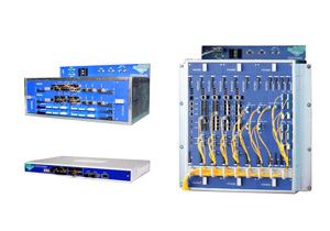 IRITEL OTP100G OTN/DWDM 100G IRITEL OTP100G OTN/DWDM 100G